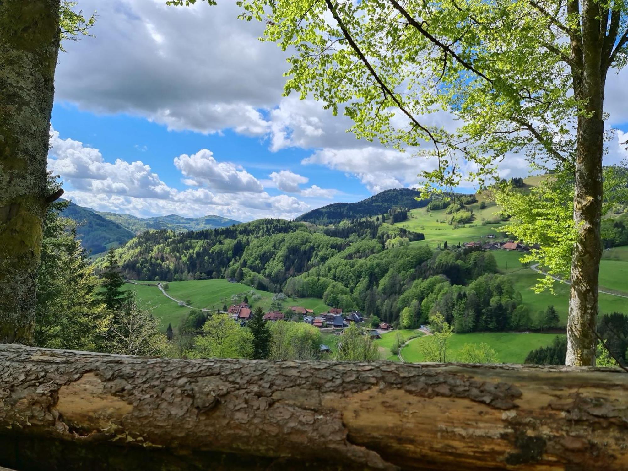 Haus Foehrenbach Apartment Schonenberg Екстериор снимка