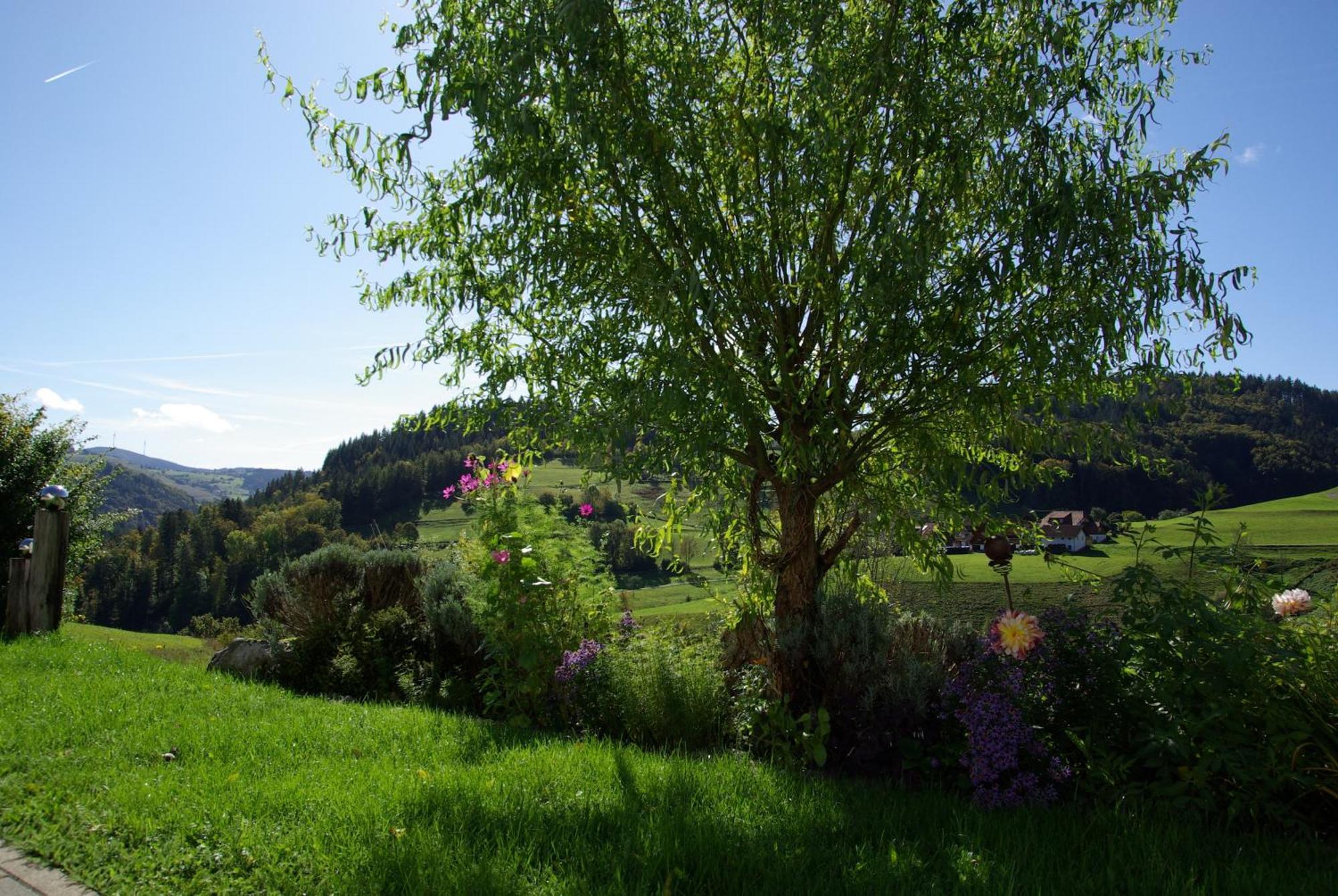 Haus Foehrenbach Apartment Schonenberg Екстериор снимка